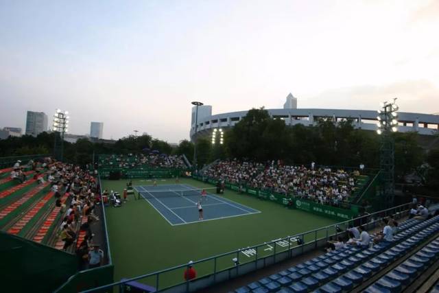 手抗衡的实 手抗衡的实