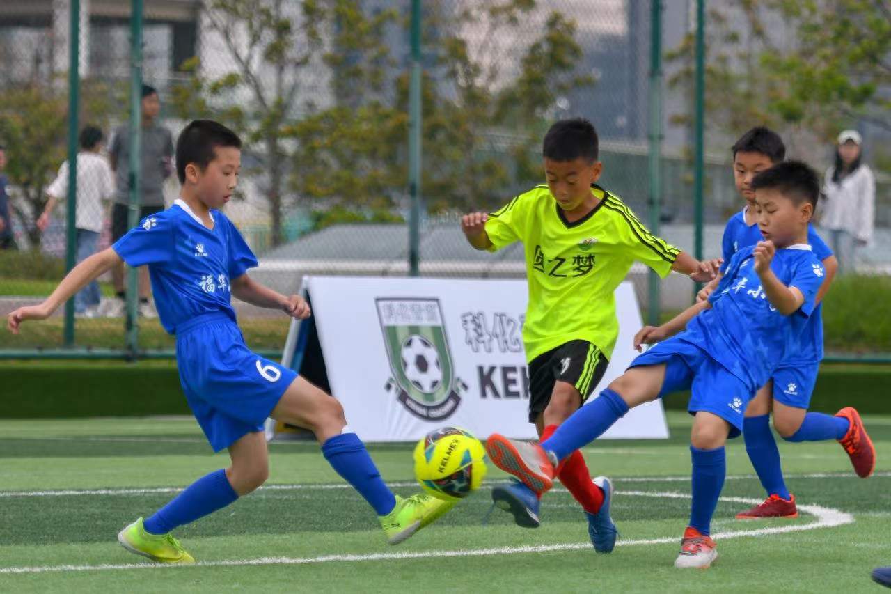 直言某鱼骗 直言某鱼骗